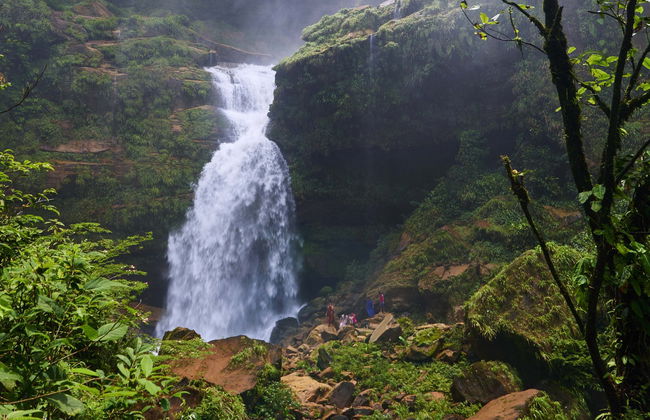 Perene Valley + Chanchamayo Waterfalls Tour - Photo 3