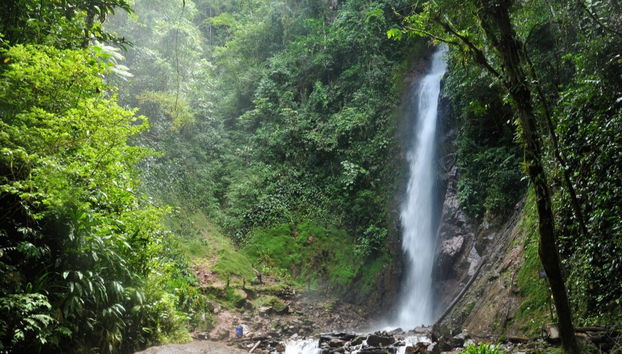 Perene Valley + Chanchamayo Waterfalls Tour - Photo 2