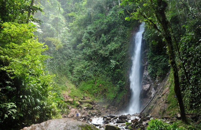 Perene Valley + Chanchamayo Waterfalls Tour - Photo 2