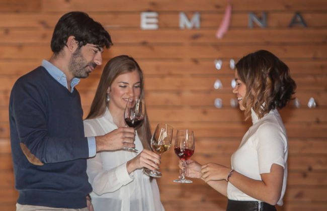 Degustação de vinho e queijo no Museu do Vinho Emina - Foto 4