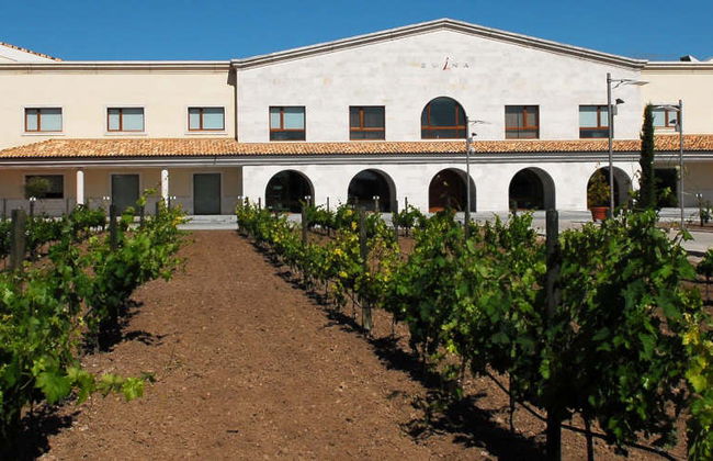 Degustação de vinho e queijo no Museu do Vinho Emina - Foto 7