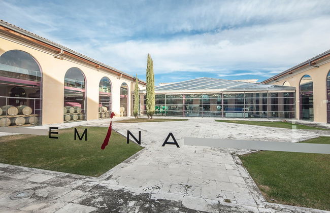 Degustação de vinho e queijo no Museu do Vinho Emina - Foto 6