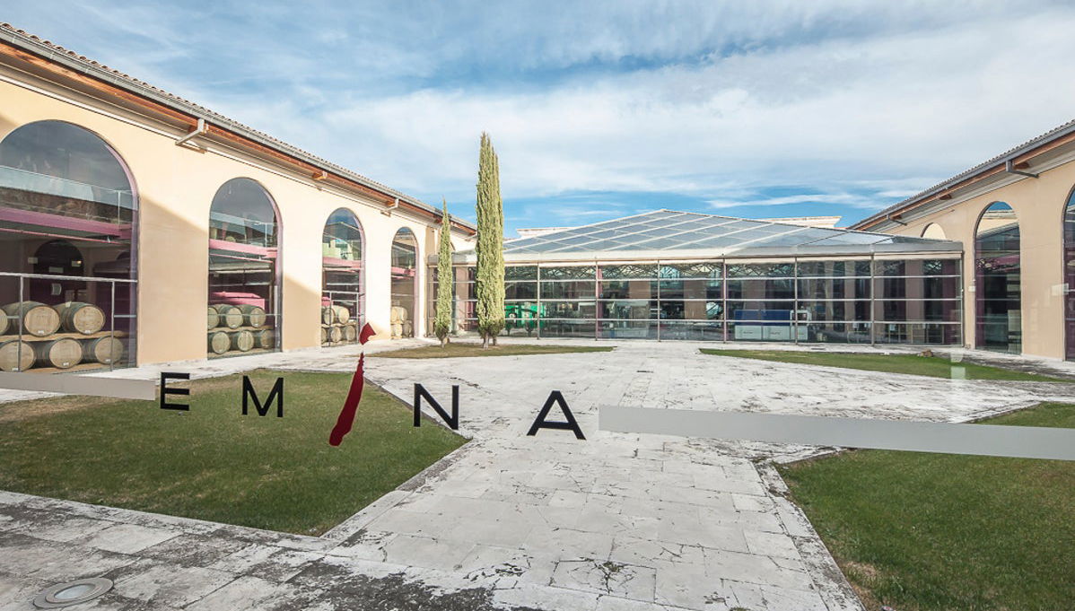 Visita a la Bodega Emina Ribera - Photo 1