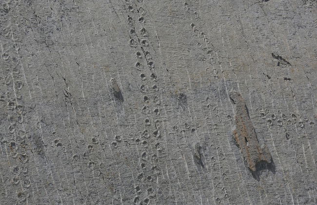 Tour por Sucre + Parque Cal Orck'o - Foto 1