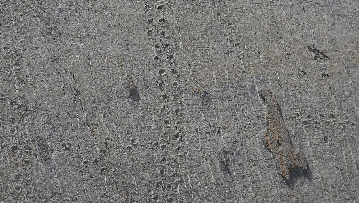 Tour por Sucre + Parque Cal Orck'o - Foto 1