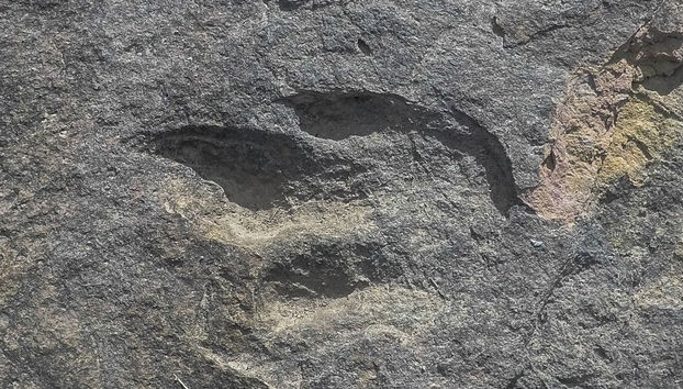 Tour por Sucre + Parque Cal Orck'o - Foto 5