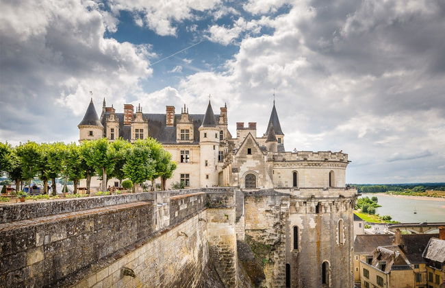 Billet pour le château d'Amboise - Photo 4