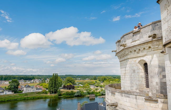 Billet pour le château d'Amboise - Photo 3