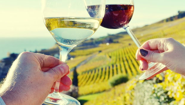 Visita a una bodega de Pau - Foto 5