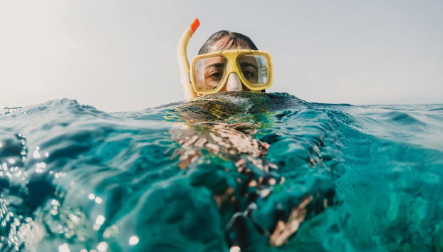 Excursion privée à Pink Beach - Photo 3