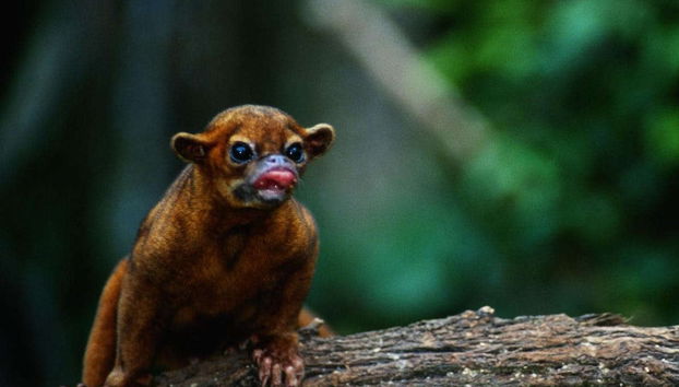 Randonnée de nuit dans le domaine de Rio Agujitas - Photo 3
