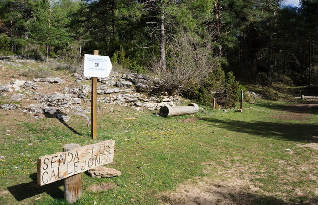 Excursión al Río Cuervo y Callejones de las Majadas - Foto 4