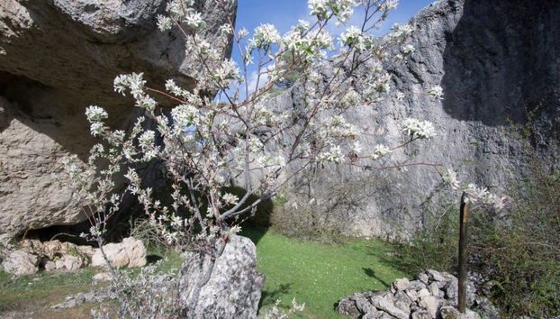 Excursión al Río Cuervo y Callejones de las Majadas - Foto 2