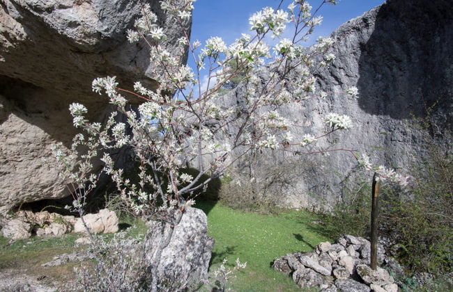 Excursión al Río Cuervo y Callejones de las Majadas - Foto 2