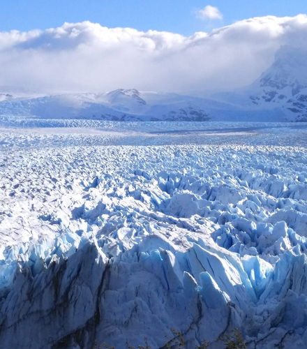 Foto - Escursione al ghiacciaio Perito Moreno