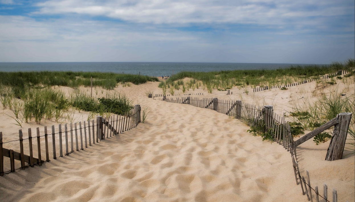 Ferry to Provincetown or Salem - Foto 1