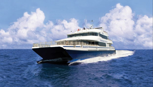 Ferry to Provincetown or Salem - Foto 2