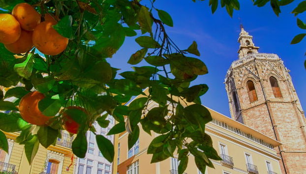 Visite privée dans Valence - Photo 5