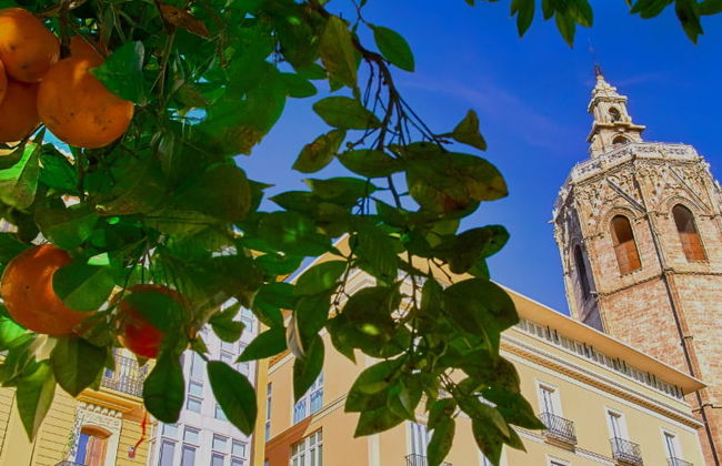 Visite privée dans Valence - Photo 5