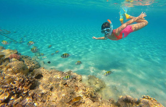 Ras Mohamed National Park Snorkelling - Foto 6