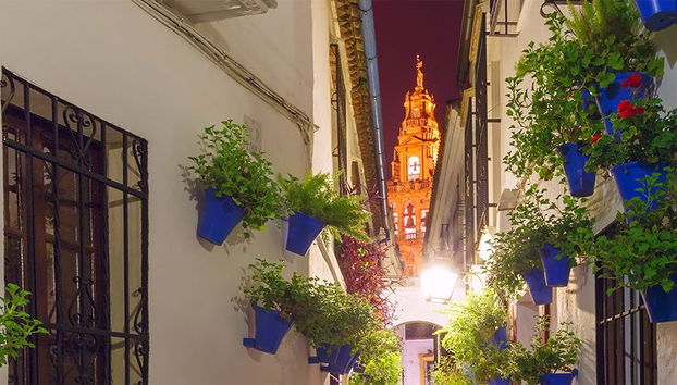 Tour privado por Córdoba - Foto 4