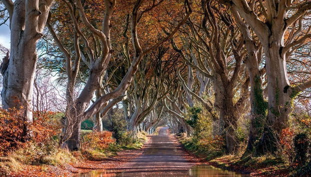 Giant’s Causeway, Dunluce Castle & Belfast Tour - Photo 2