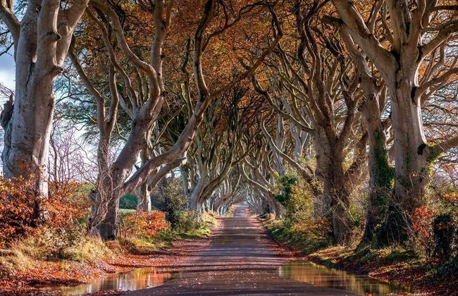 Giant's Causeway, Titanic Experience & Belfast Tour - Photo 3