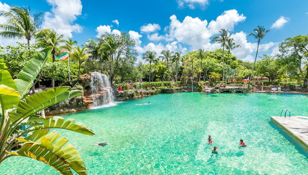 Visite de Miami pour croisiéristes - Photo 3