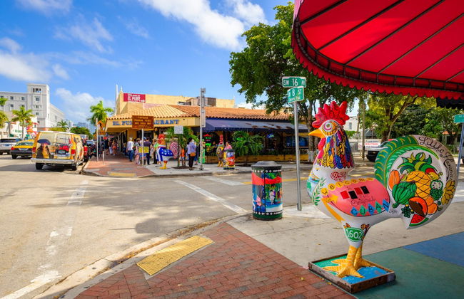 Miami Shore Excursion - Foto 5