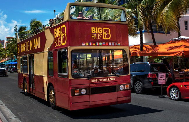 Autobús turístico de Miami - Foto 4