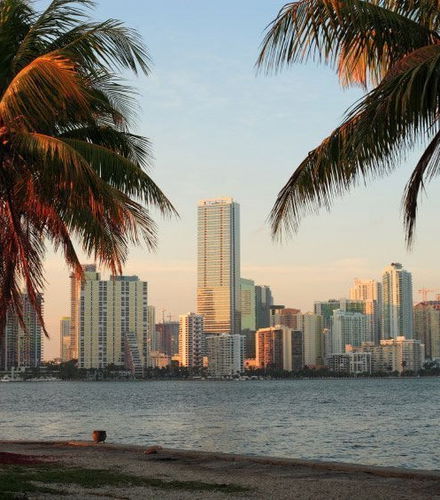Foto de Autobús turístico de Miami