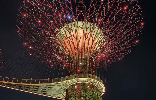 Tour nocturno por Marina Bay - Foto 1