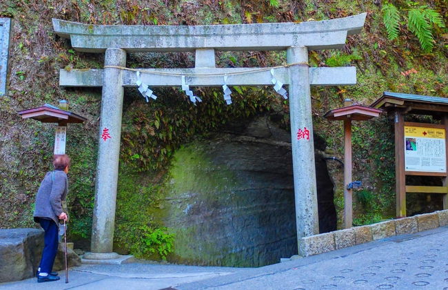 Excursión privada a Kamakura y Enoshima - Foto 5