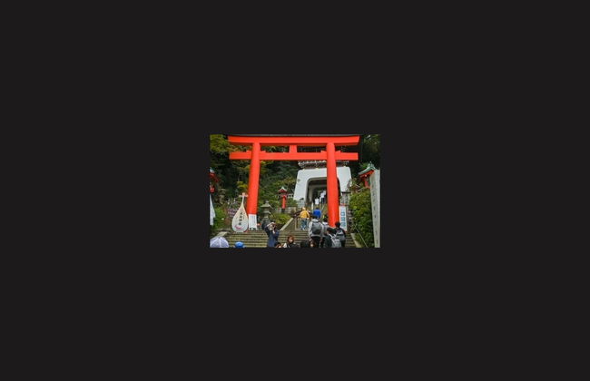Excursión privada a Kamakura y Enoshima - Foto 4