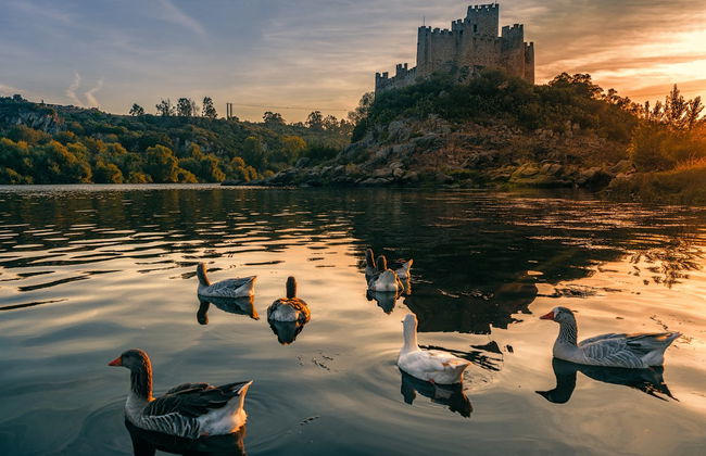 Excursión a Tomar y el castillo de Almourol - Foto 3