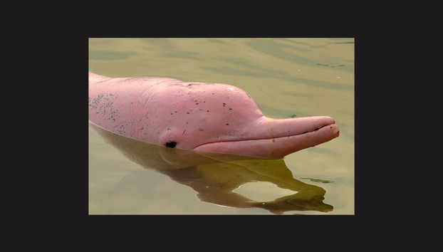 Lantau Island Tour - Photo 2