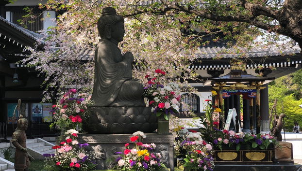 Excursion à Kamakura - Photo 3