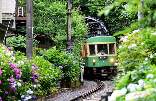 Escursione a Kamakura - Foto 2