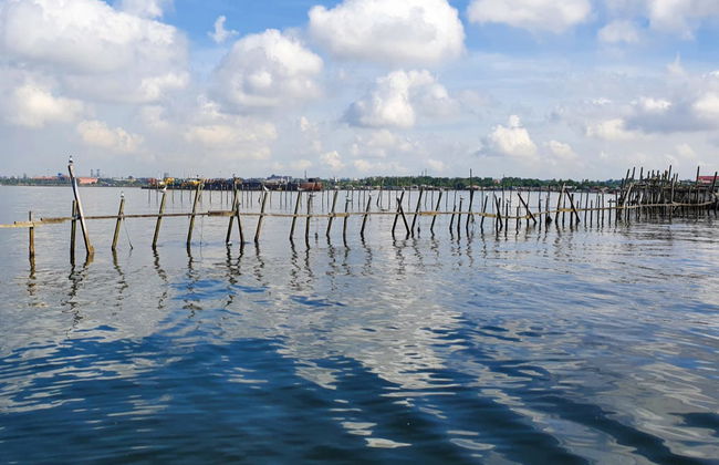 Pulau Ubin Boat Tour - Photo 2