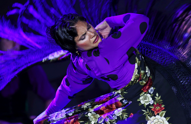 Tablao Flamenco Alma- Espectáculo - Foto 4