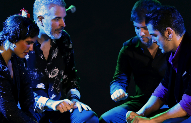 Tablao Flamenco Alma- Espectáculo - Foto 3