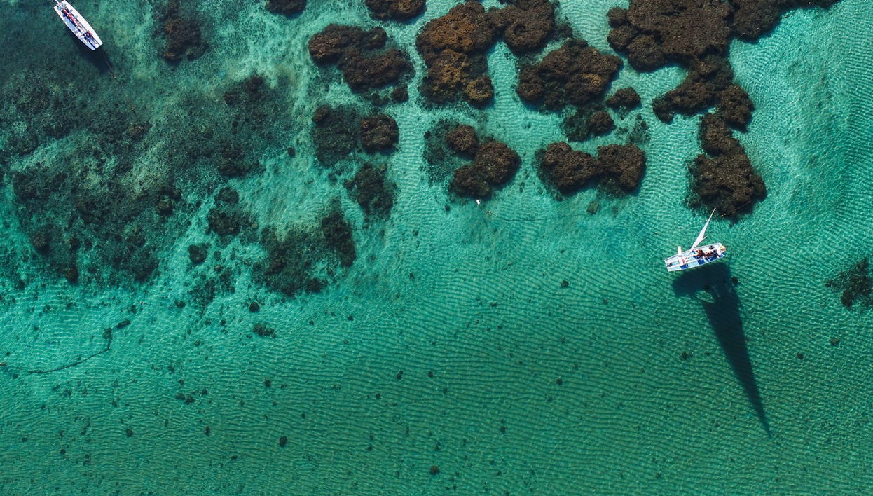 Excursão a Porto de Galinhas - Foto 1
