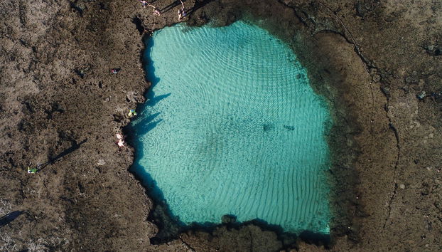 Excursão a Porto de Galinhas - Foto 2