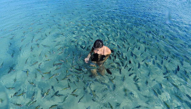 Excursão a Porto de Galinhas - Foto 3