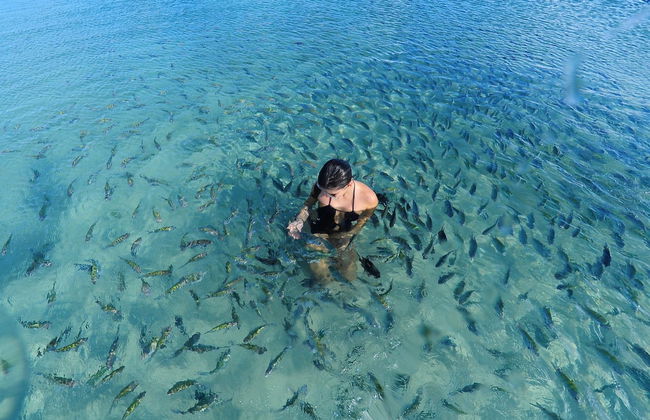 Porto de Galinhas Excursion - Photo 4
