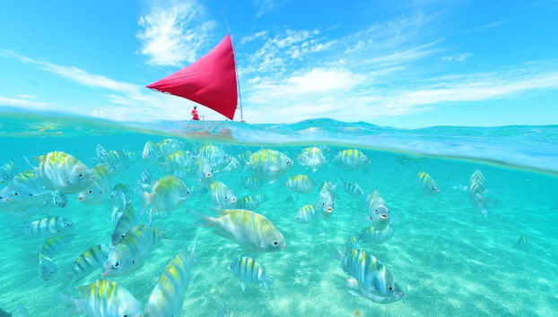 Excursão a Porto de Galinhas - Foto 5