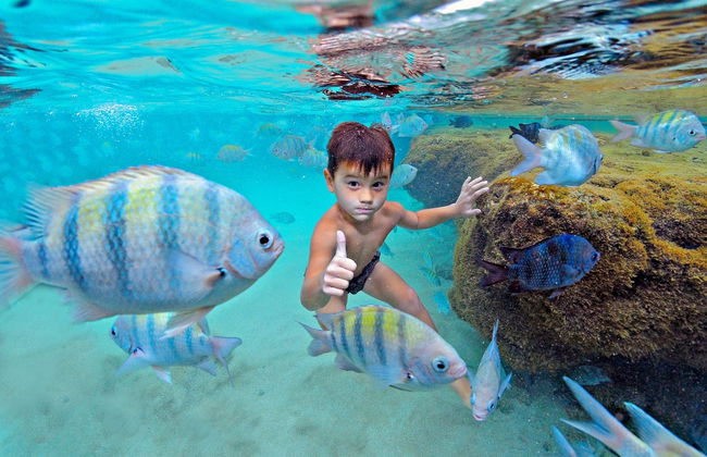Excursão a Porto de Galinhas - Foto 6