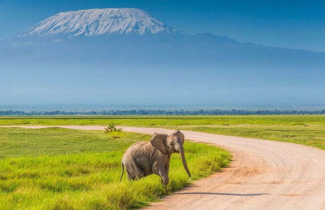 7-Day Safari to National Parks in Kenya - Photo 2
