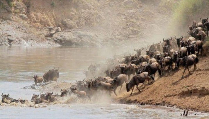 Safari de 7 días por Masái Mara, Amboseli, Hell's Gate y Lago Nakuru - Foto 1