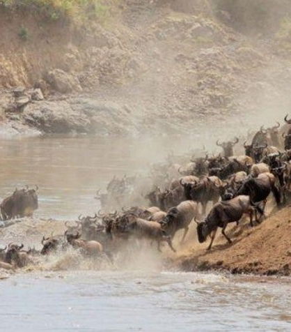 Foto de Safari de 7 días por Masái Mara, Amboseli, Hell&apos;s Gate y Lago Nakuru